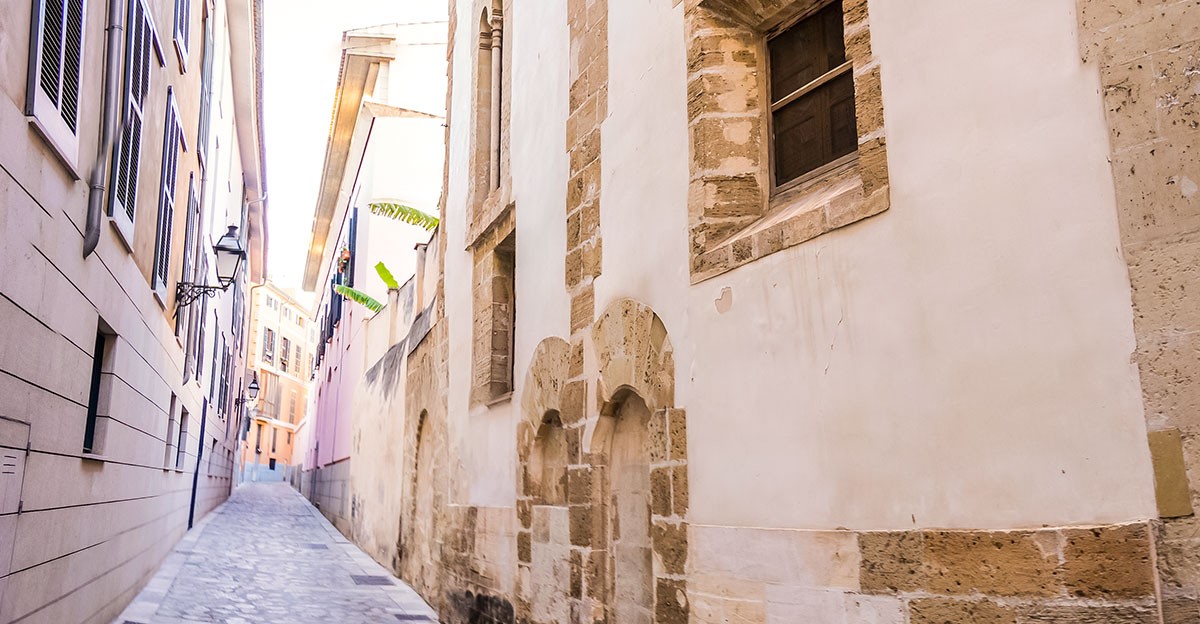 Palma palma
