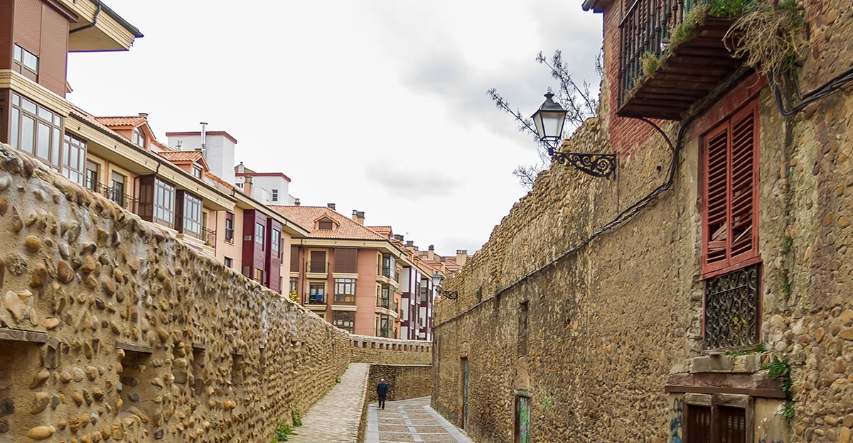 León leon