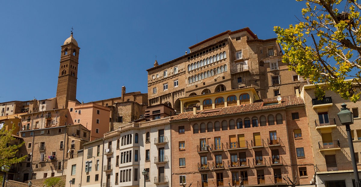 Tarazona tarazona